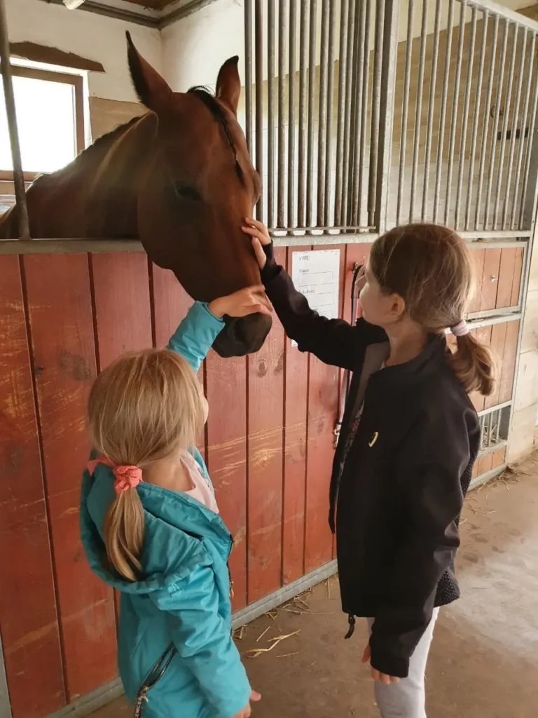 polkolonie cogito szkola _35